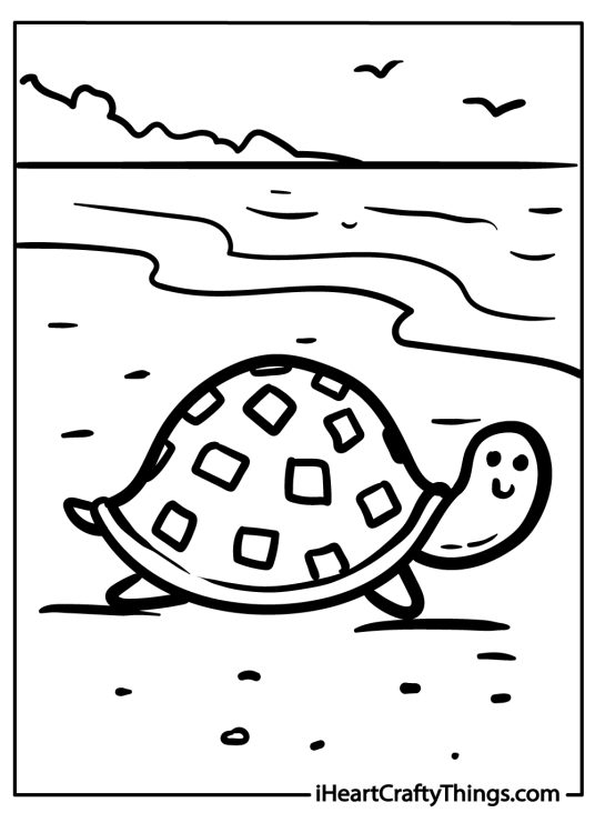 Sea animal picture for pre-schoolers featuring happy sea turtle on the sandy beach