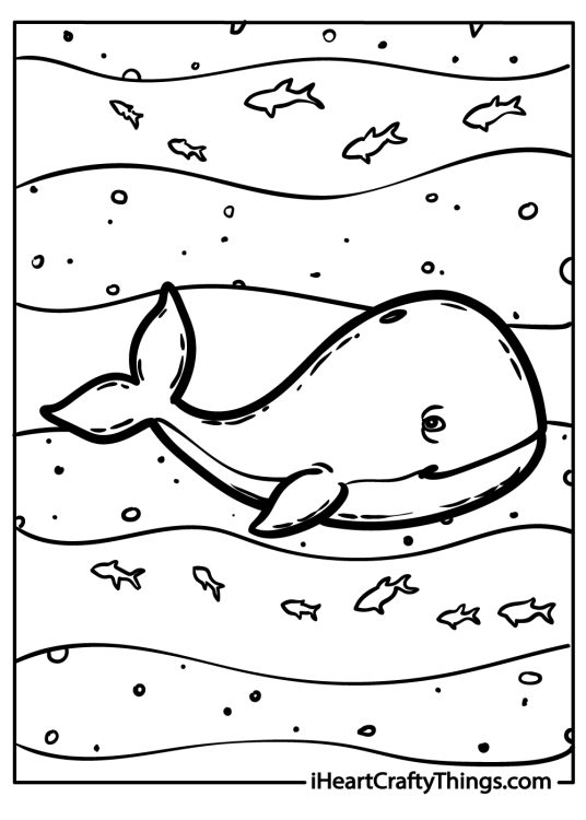 Sea animal coloring image presenting detailed whale with fish swimming all around him