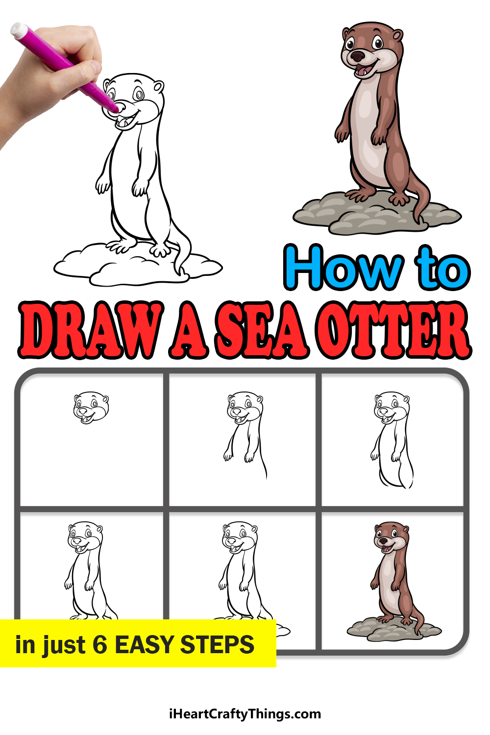 how to draw a Sea Otter in 6 easy steps