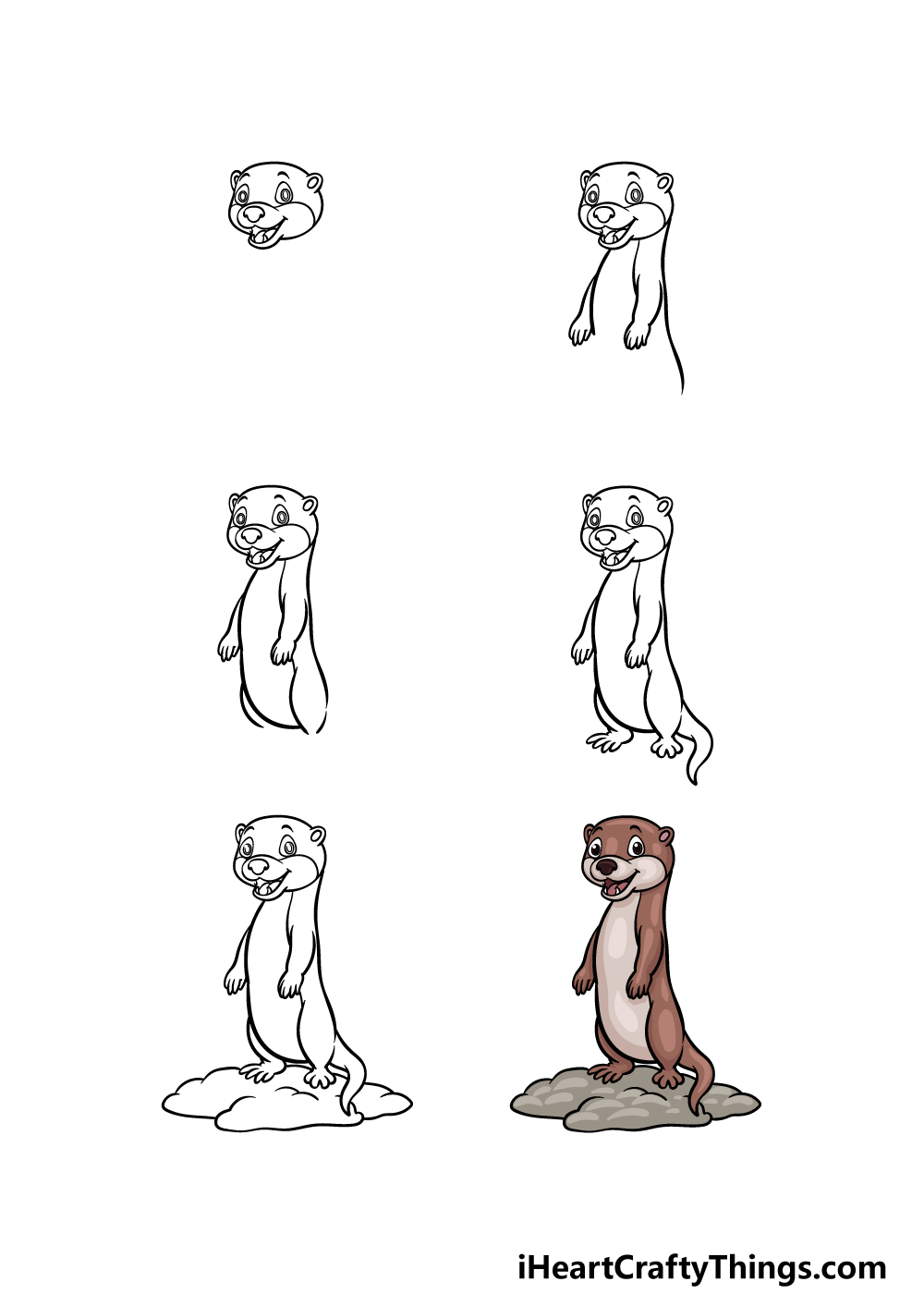 how to draw a Sea Otter in 6 steps