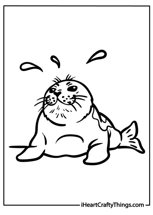 Printable coloring page with a front view of a whiskered seal splashing its tail flippers with delight