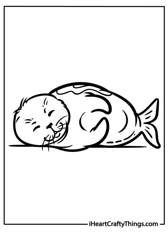 Animal-themed coloring page of an adorable snoozing seal lying down on its right side with closed eyes