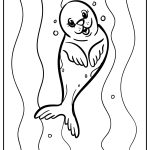 Seal Coloring Pages free printable