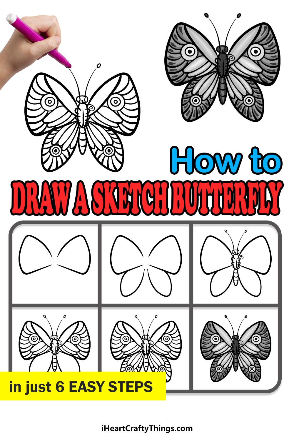 how to draw a Sketch Butterfly in 6 easy steps