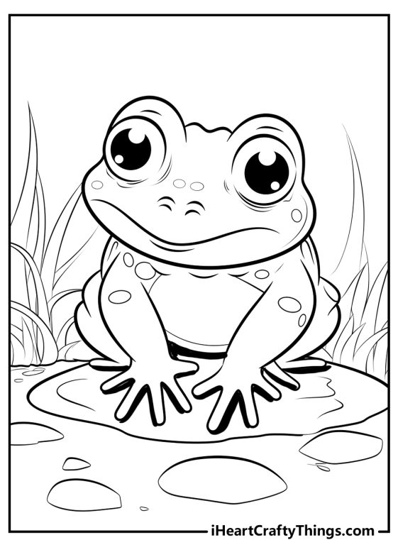 Toad Coloring Pages (100% Free Printables)