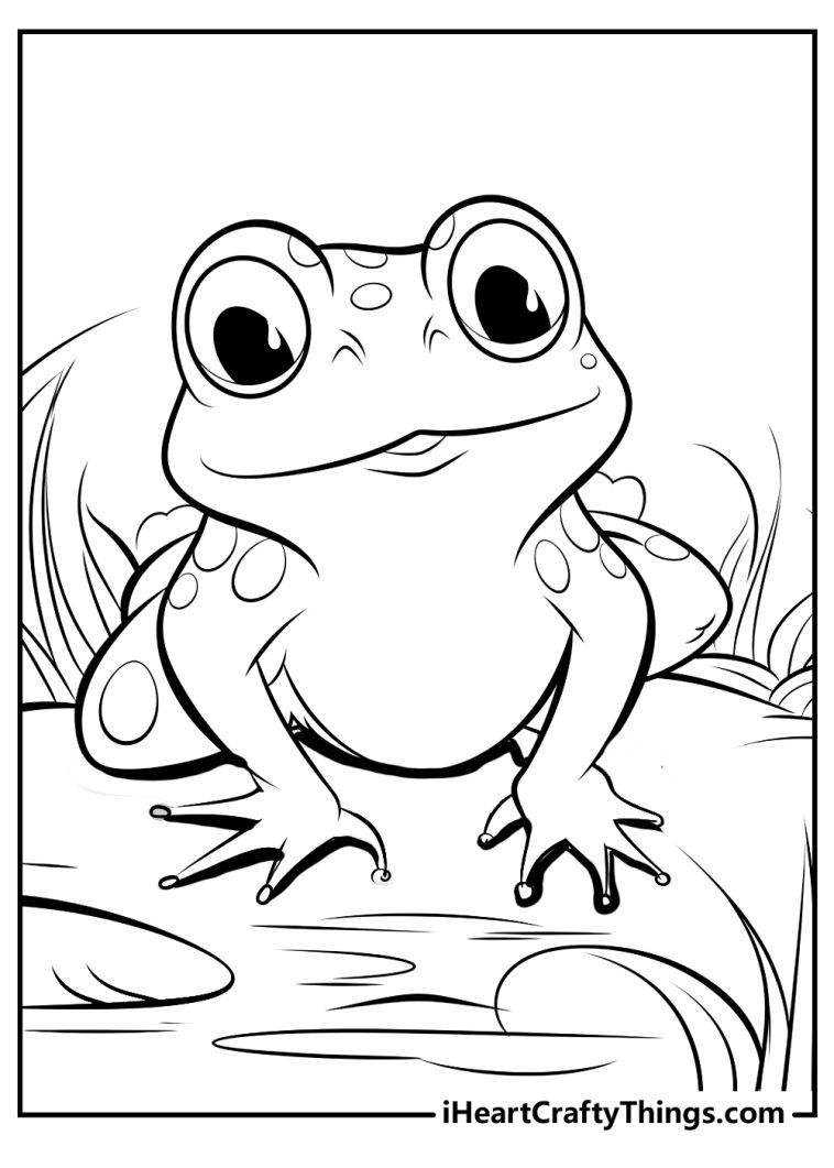 Toad Coloring Pages (100% Free Printables)