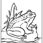 Toad Coloring Pages free printable