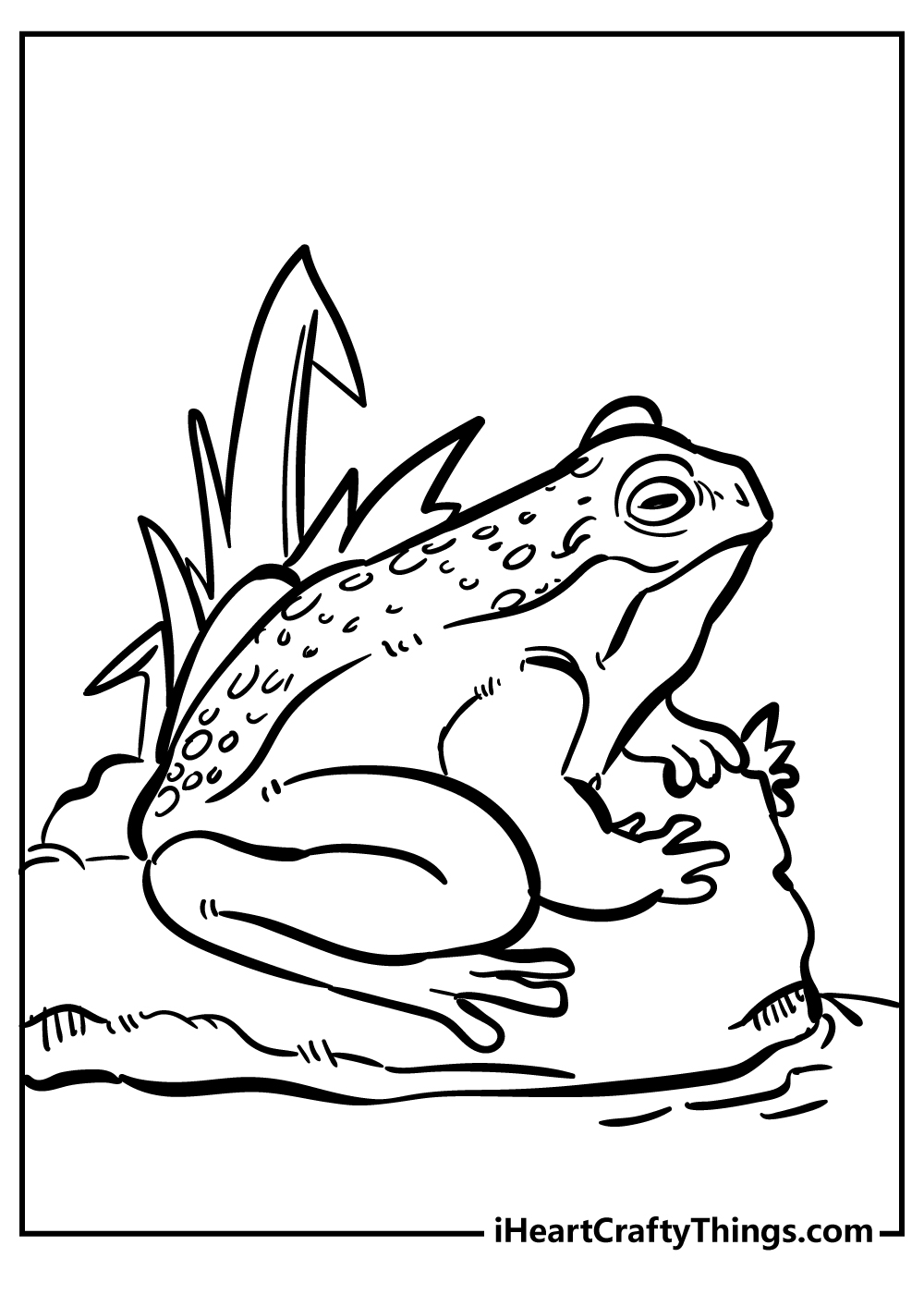 Toad Coloring Sheet for children free download