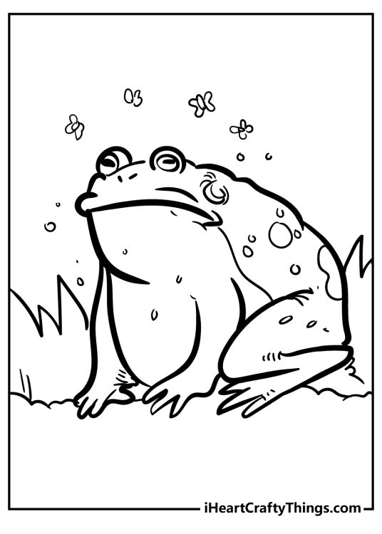 Toad Coloring Pages (100% Free Printables)