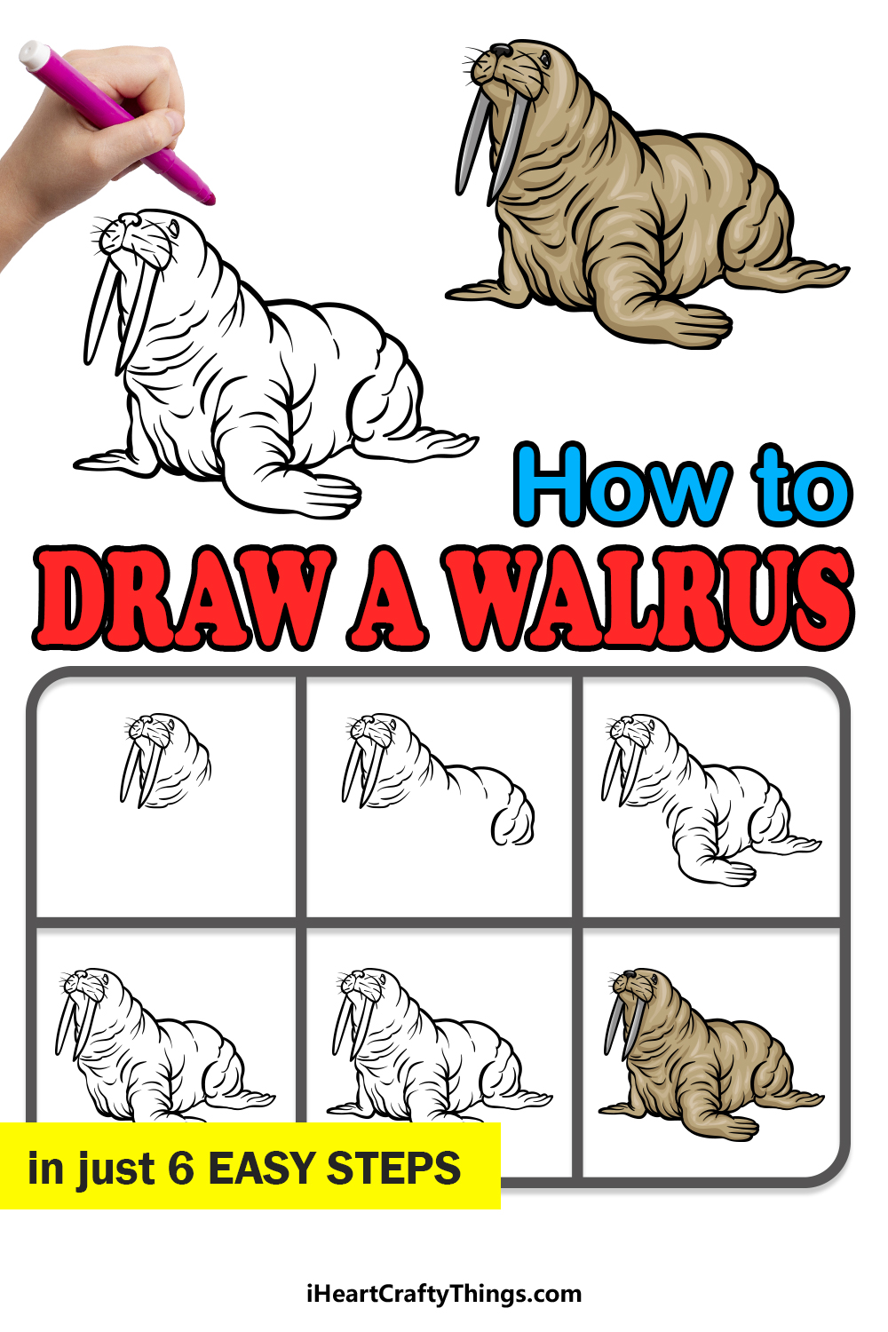 how to draw a Walrus in 6 easy steps