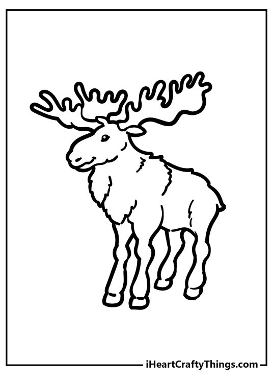 Forest Animals Coloring Pages