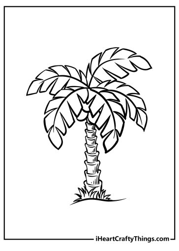 palm tree coloring pages free printable