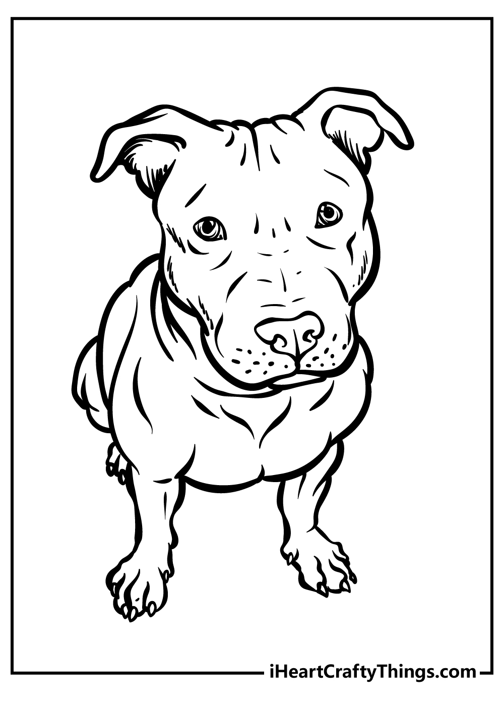 Detailed coloring printable of a calmly-looking pitbull sitting and lovingly looking up