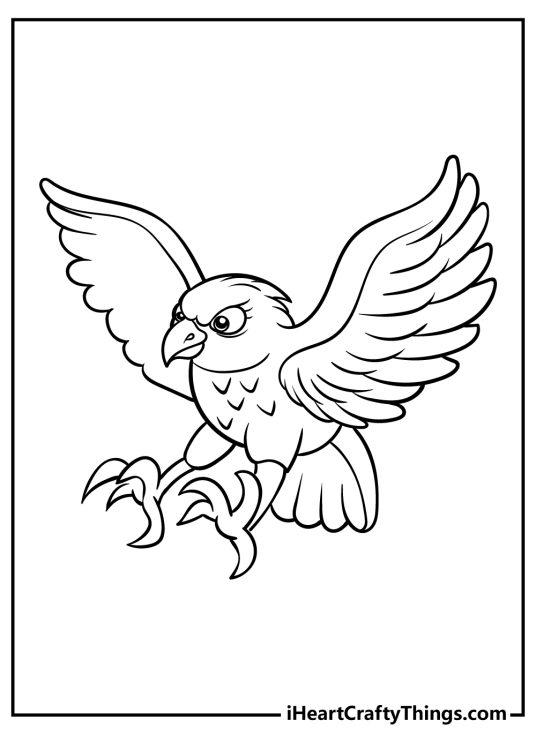 Hawk-themed coloring page featuring cartoony bird swooping down with its claws extended
