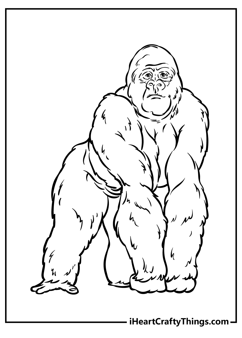 Zoo Animals Coloring Pages for kids free download