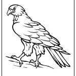 Hawk Coloring Pages free printable