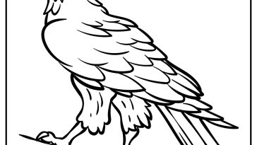 Hawk Coloring Pages free printable