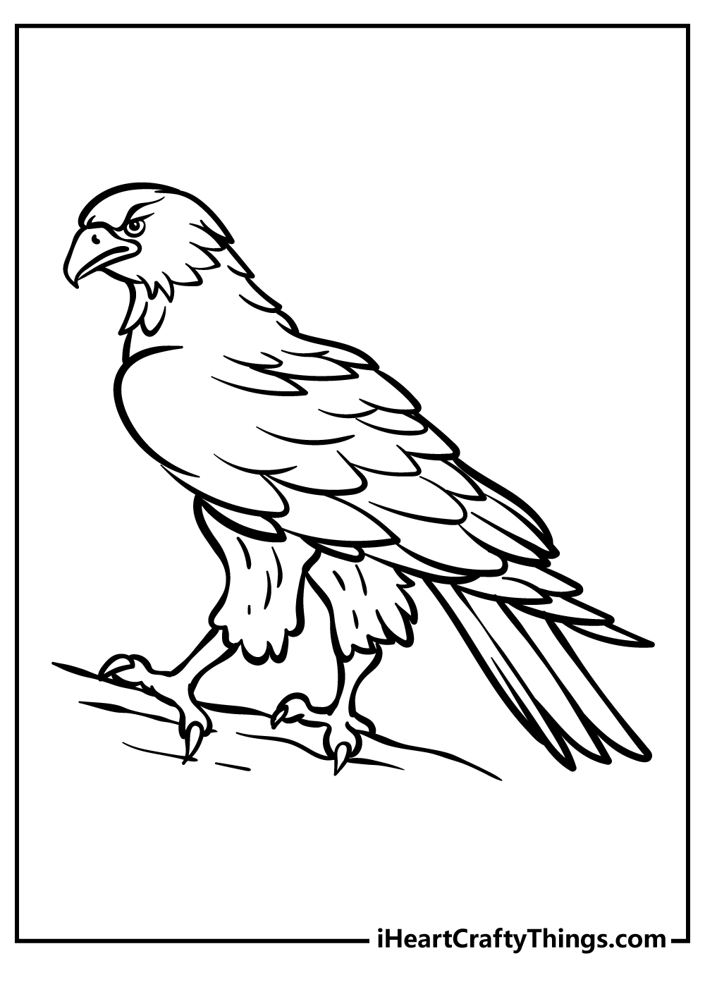 Hawk Easy Coloring Pages
