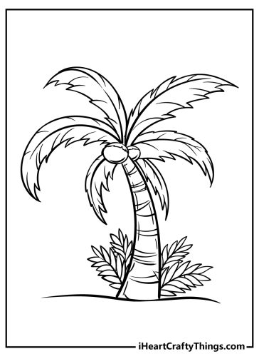 Printable Palm Tree Coloring Pages (Updated 2023)