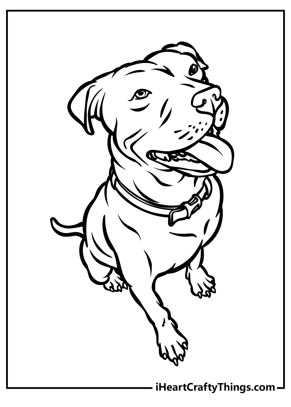 Free printable of a playful sitting pitbull with a heart-shaped nose and a tongue sticking out of his mouth