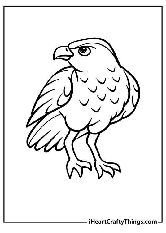 Printable coloring sheet featuring the front view of a seriously-looking hawk facing to the left