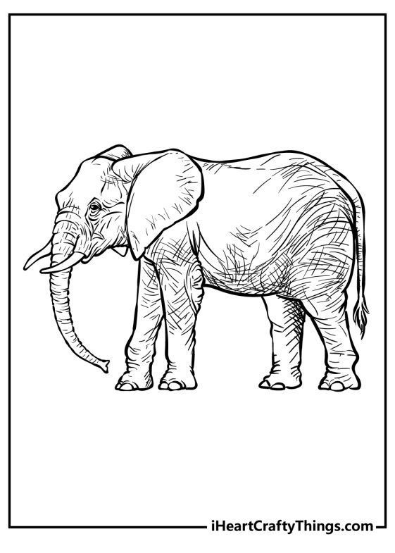 25 Zoo Animals Coloring Pages (100% Free Printables)