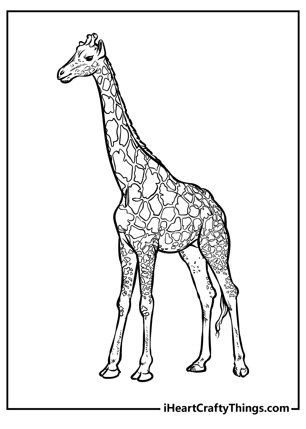 Zoo Animals Coloring Pages free pdf download