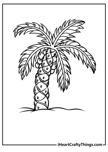 Printable Palm Tree Coloring Pages (Updated 2023)