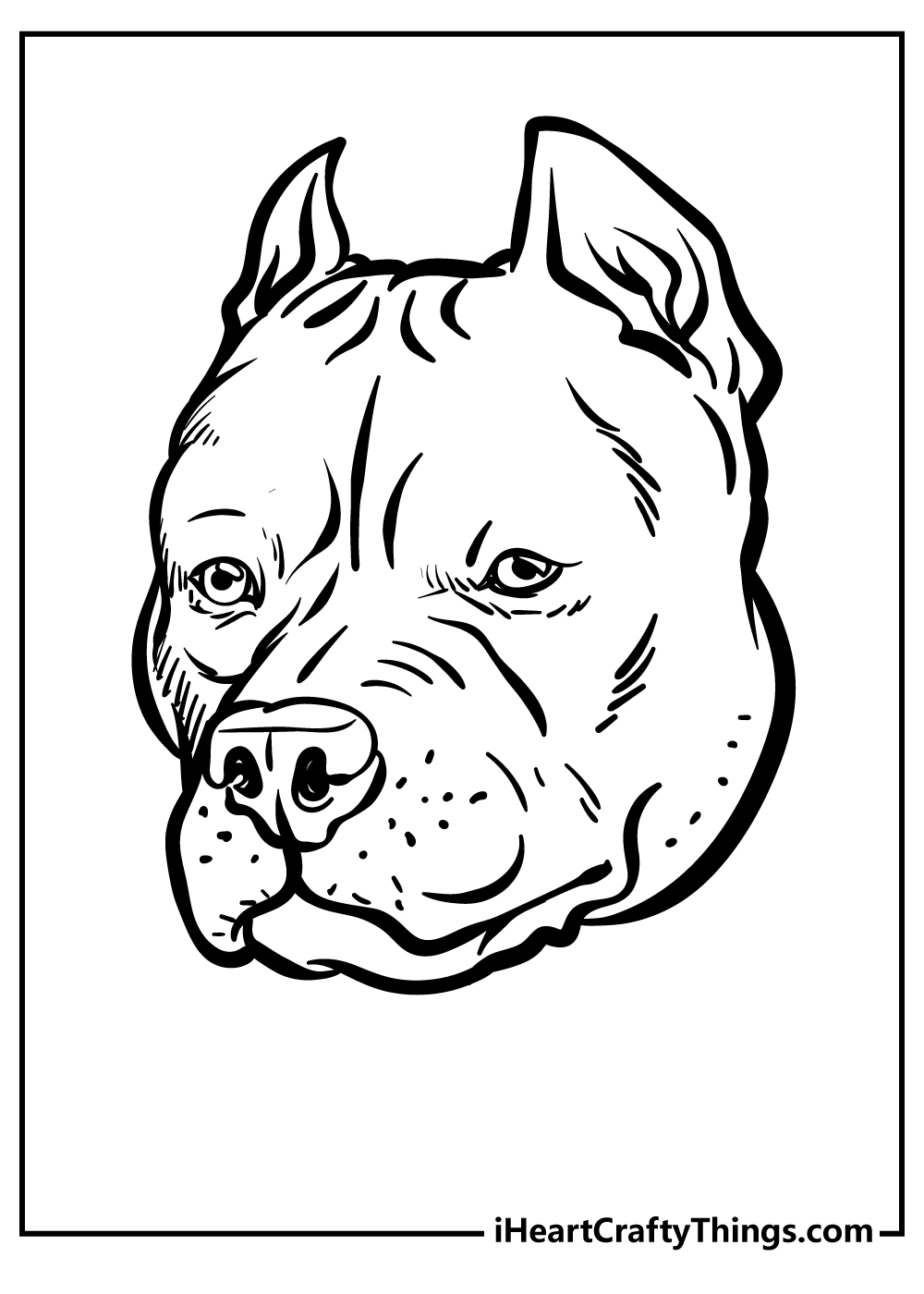 Printable coloring picture featuring close view of pitbull's face with a big nose and pointy ears