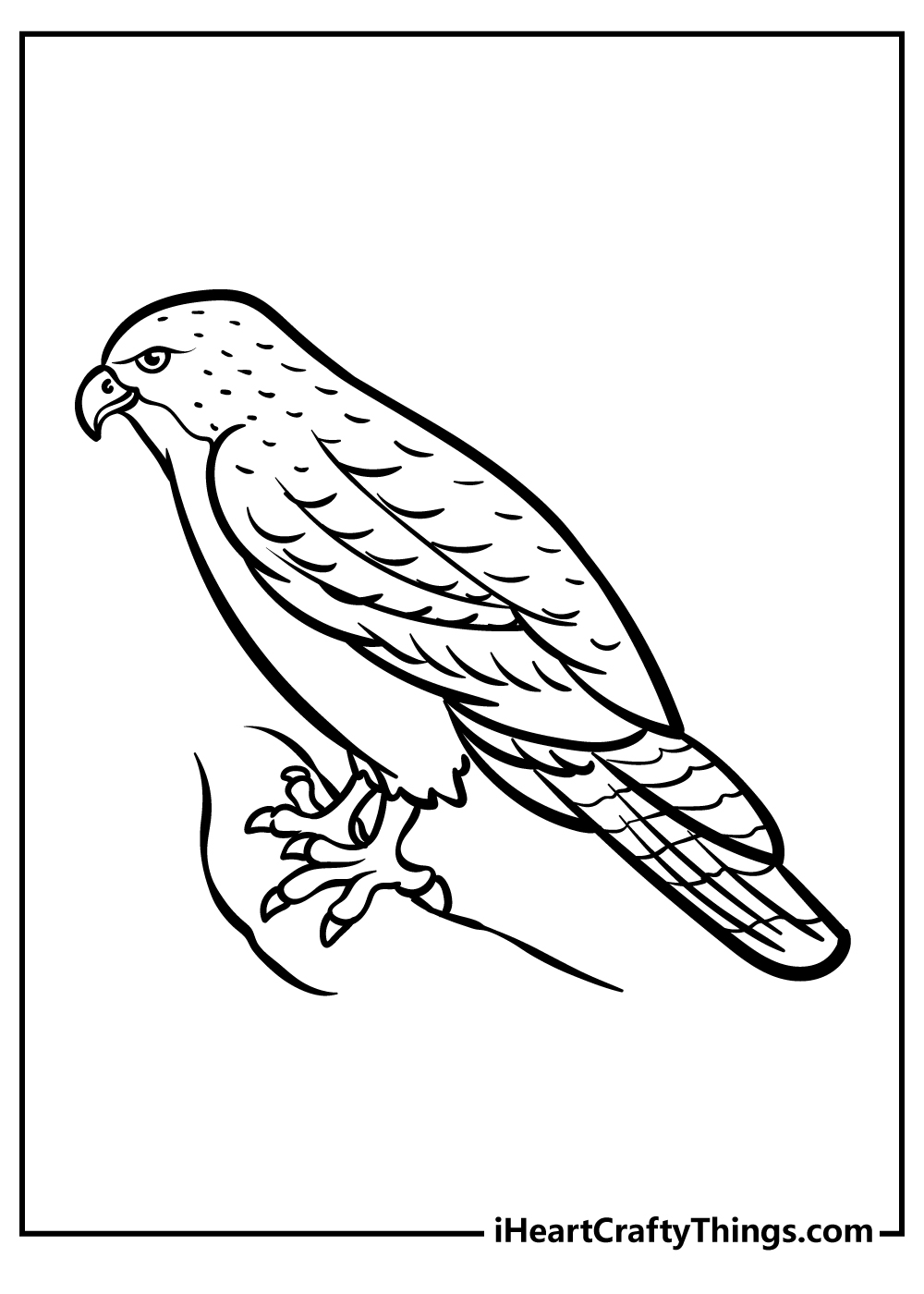Hawk Coloring Pages for preschoolers free printable
