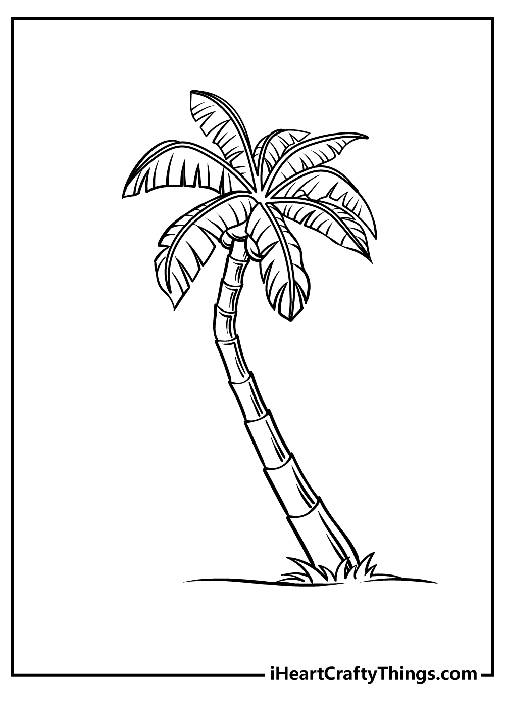 Palm Tree Coloring Book free printable