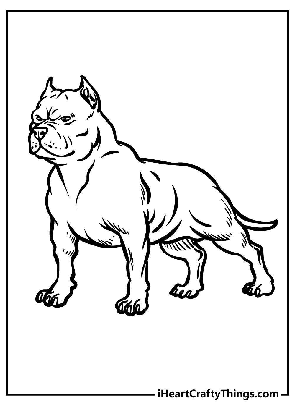 Detailed printable picture featuring strong pitbull looking vicious and ready to attack