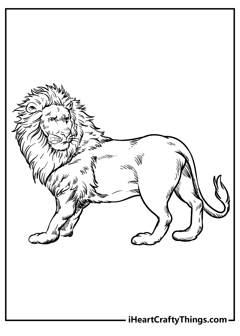 Zoo Animals Coloring Book free printable