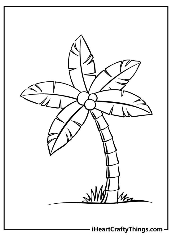 Palm Tree Coloring Pages (100% Free Printables)