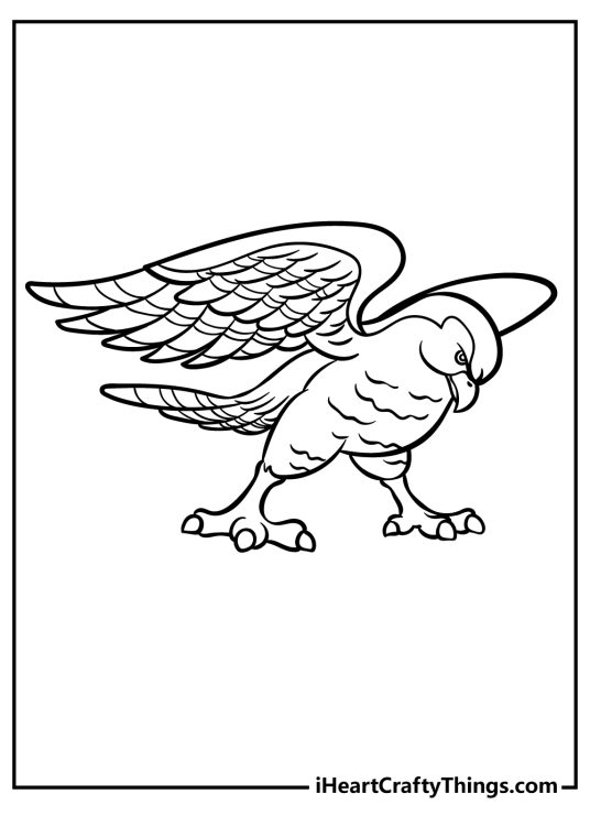 Printable page featuring concentrated hawk with widely spread wings ready to take flight