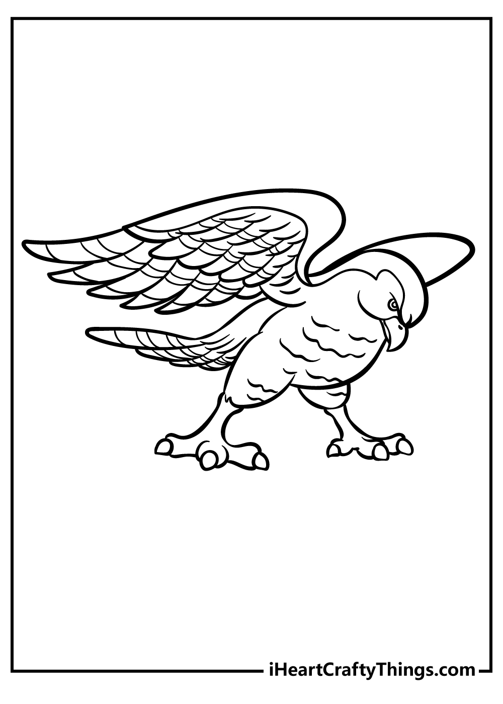 Hawk Coloring Book for kids free printable