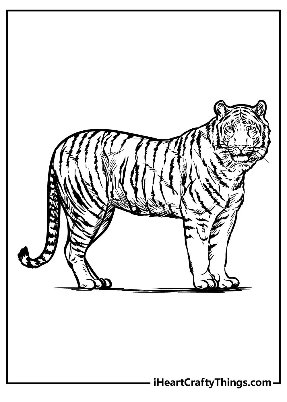 Zoo Animals Coloring Book for kids free printable