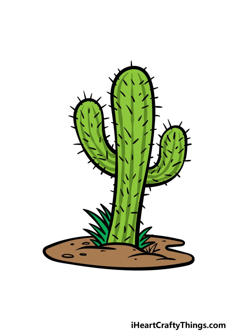 Cartoon Cactus Drawing - How To Draw A Cartoon Cactus Step By Step!