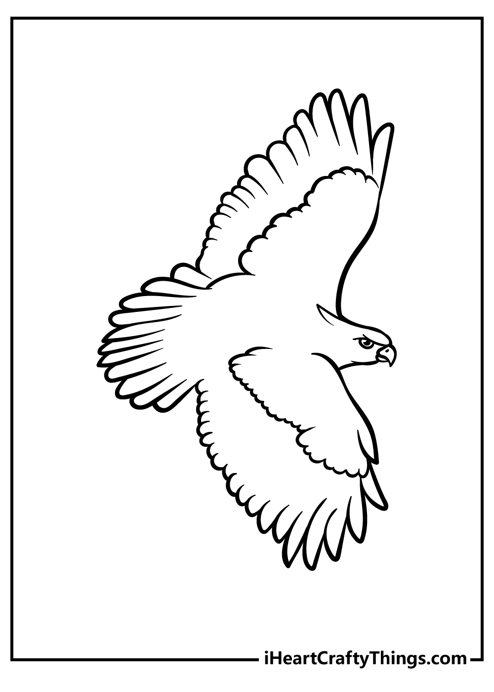 hawk head coloring page