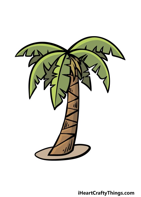 Cartoon Palm Tree Drawing - How To Draw A Cartoon Palm Tree Step By Step!