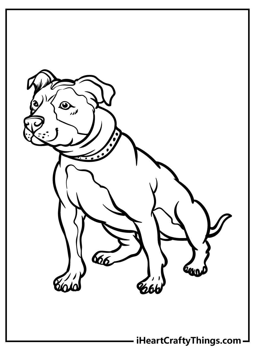 Free printable pdf of a pitbull with a collar in a sitting position looking tense and alert