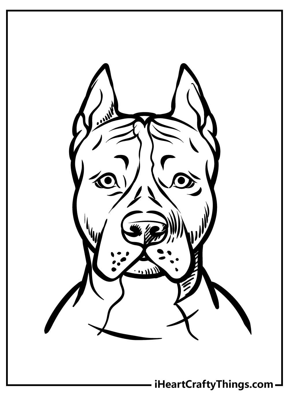 Detailed coloring portrait of an expressive pitbull with pointy ears and sturdy wide neck