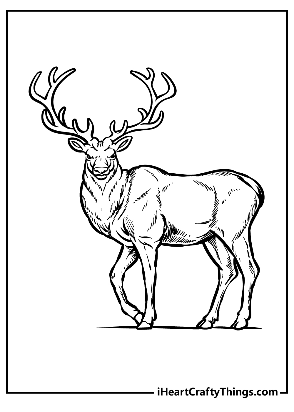 Zoo Animals Coloring Book for adults free download