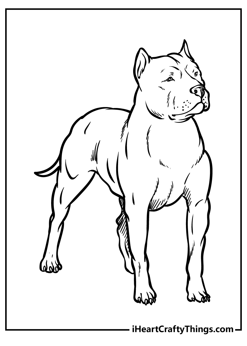 Printable coloring image for kids featuring majestic pitbull standing tall and proud