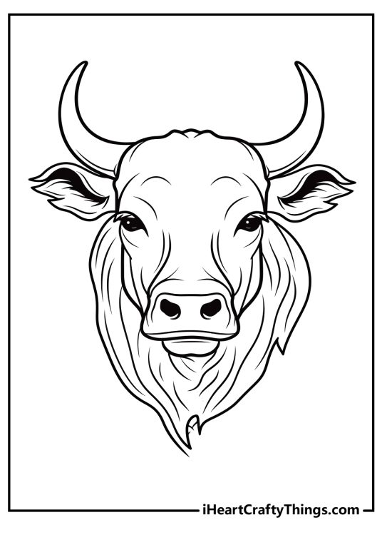 Detailed black-and-white printable drawing for adults featuring realistic bull’s head