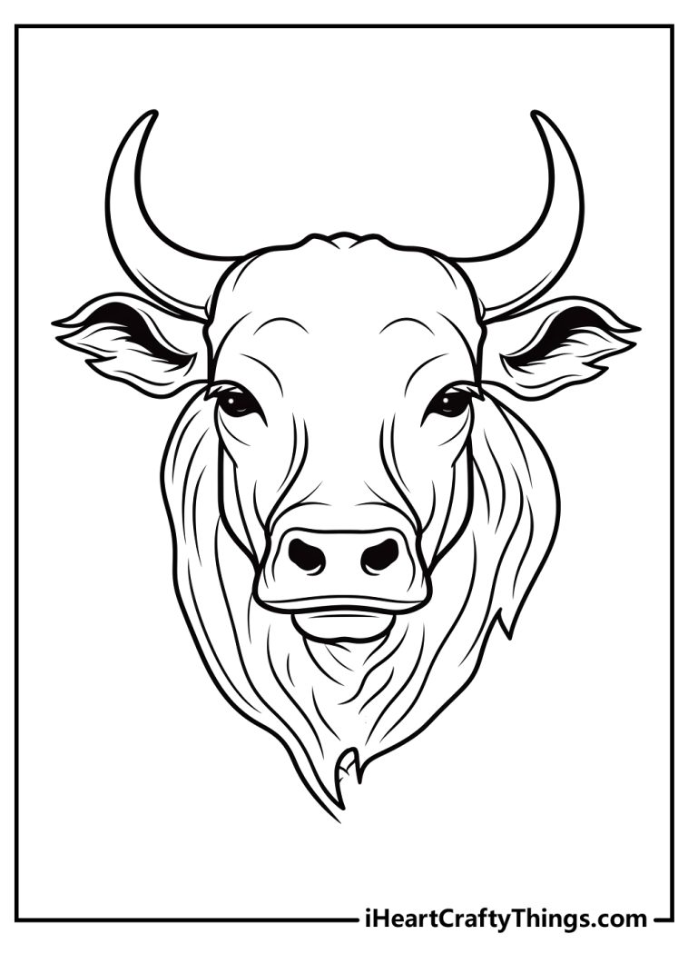 Bull Coloring Pages (100% Free Printables)