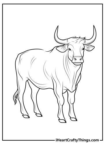 Bull Coloring Pages (100% Free Printables)