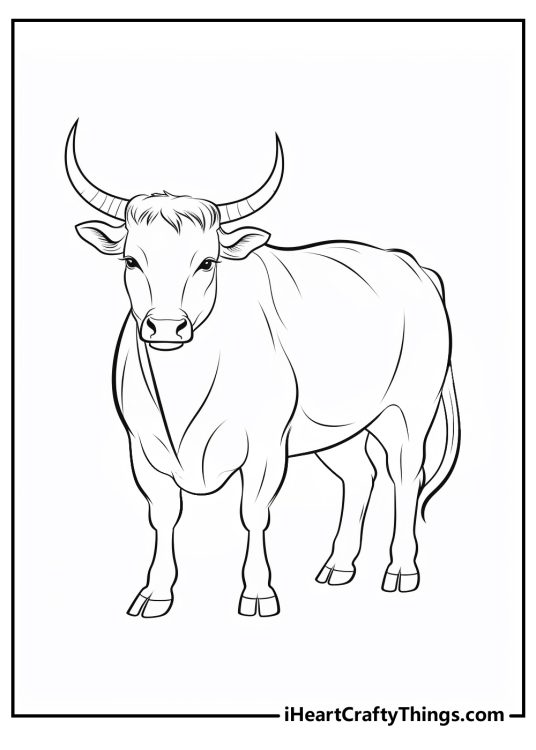 Bull coloring pages