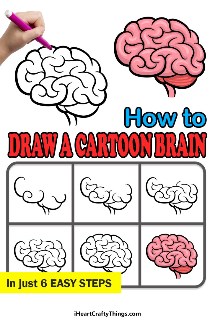 Cartoon Brain Drawing - How To Draw A Cartoon Brain Step By Step
