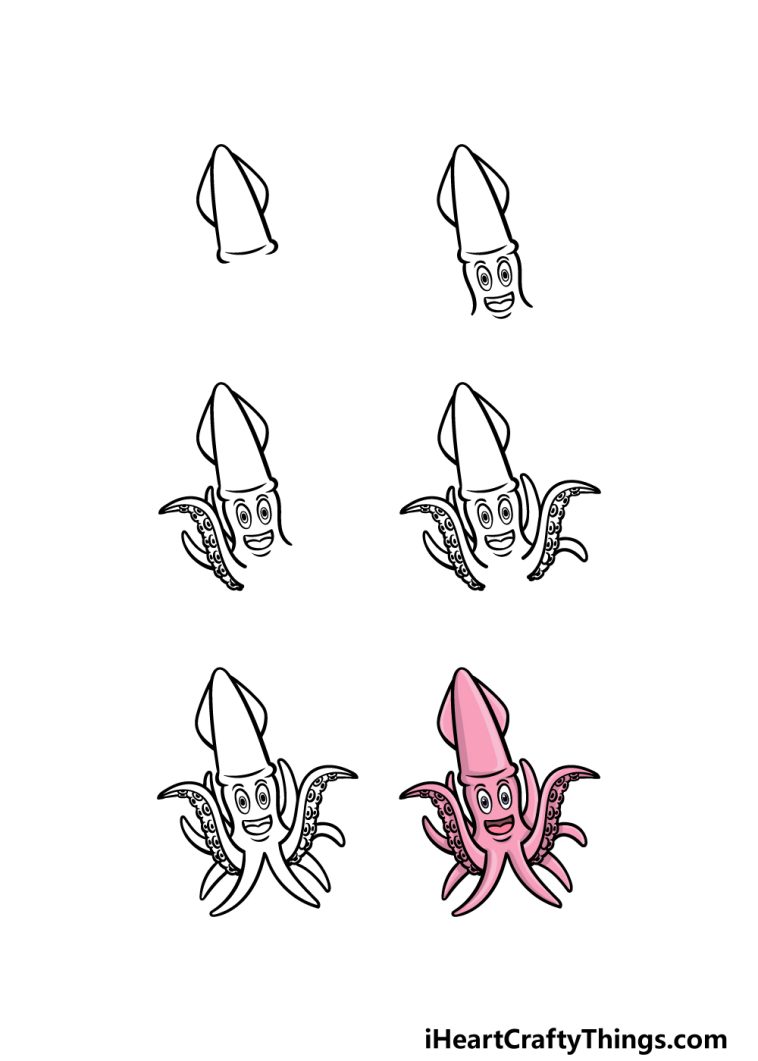 Cartoon Squid Drawing - How To Draw A Cartoon Squid Step By Step